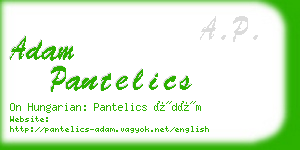 adam pantelics business card